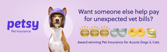 Petsy mobile ad banner
